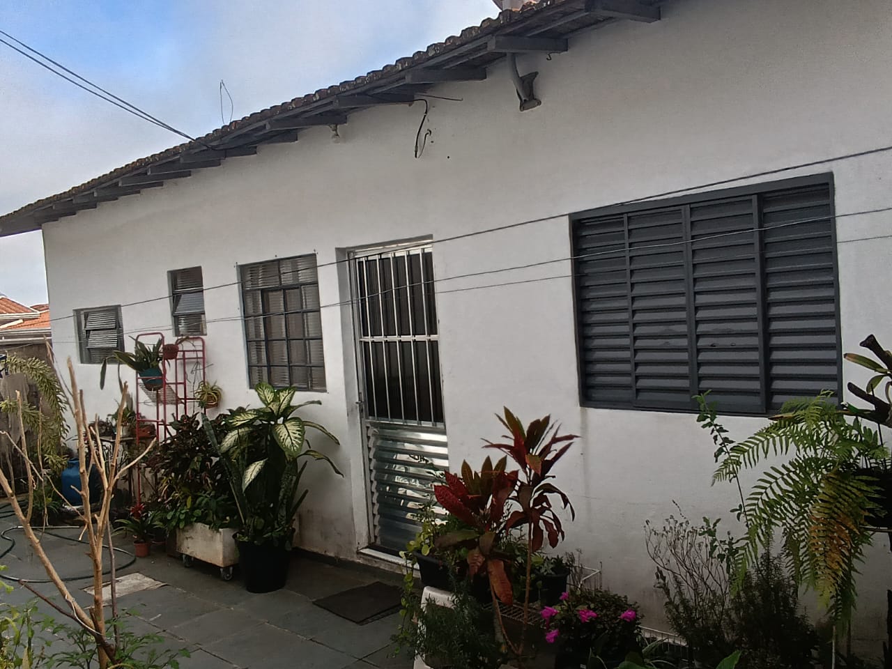 Foto 4