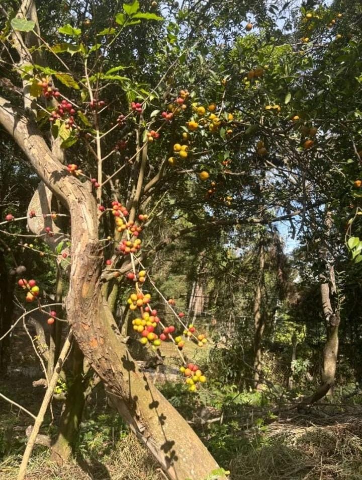 Terreno de Esquina Exclusivo de 1.000 m² em Chácaras São Bento | Valinhos/SP