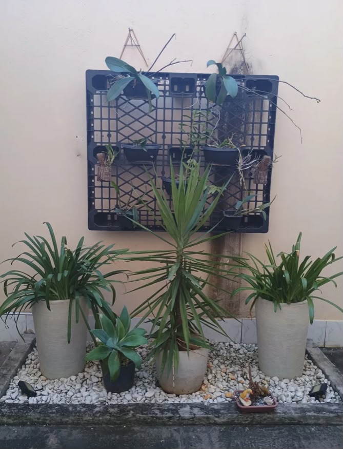 Foto 17